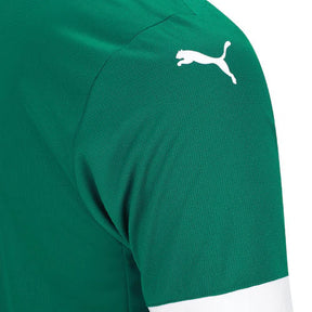 Camisa Palmeiras 25/26 I Home - Versão Torcedor