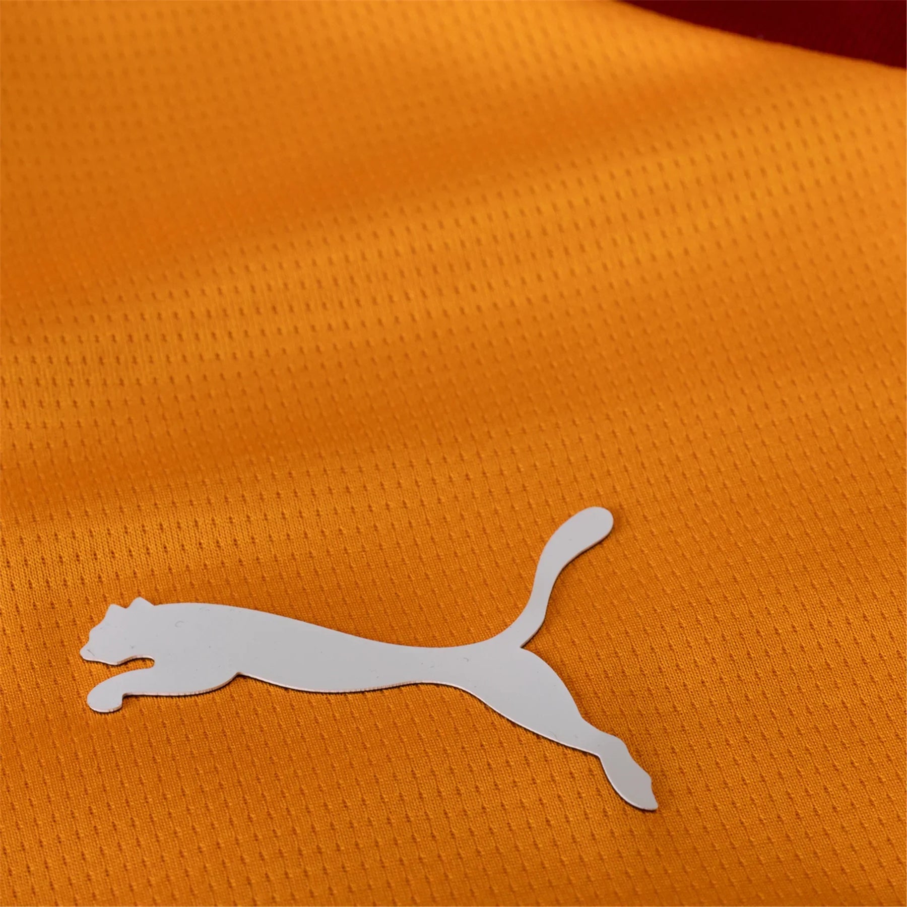Camisa Galatasaray 25/26 I Home - Versão Torcedor